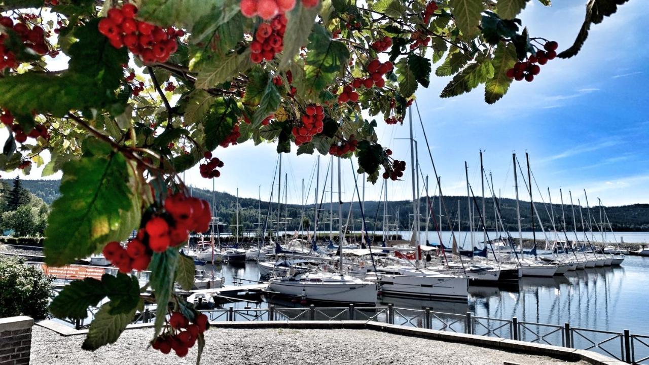 Apartman Kapy Lipno Lipno nad Vltavou Dış mekan fotoğraf